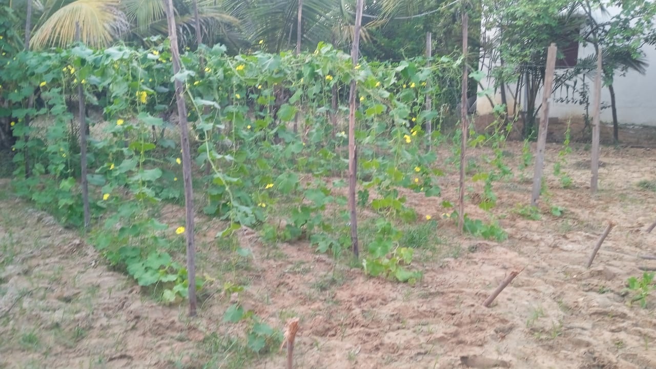 VidyAntara Retreat Gallery 11
